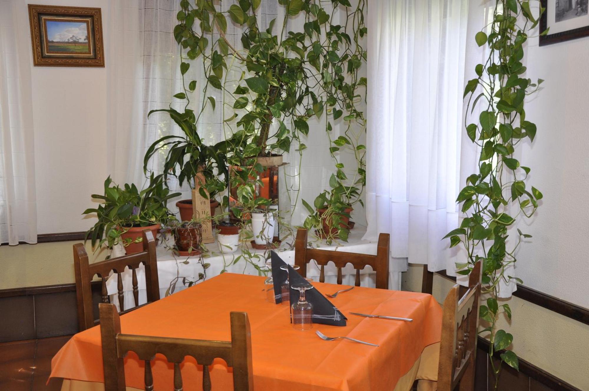Hotel Castillo D'Acher Siresa Екстериор снимка